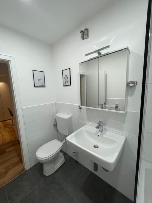 Appartamento Penthouse, Offenburg,Europapark Esterno foto
